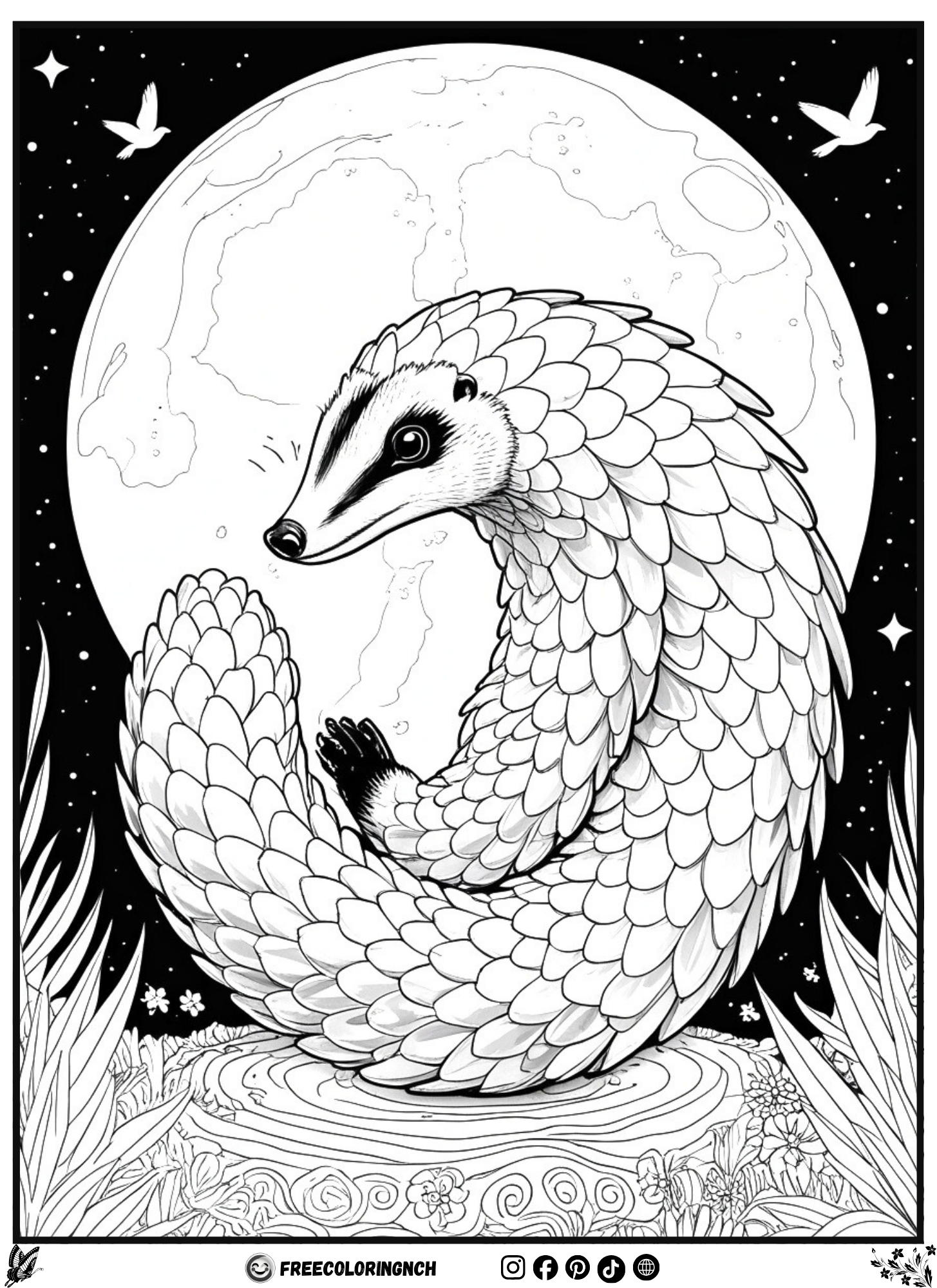 Boho pangolin moon isolation coloring page printable