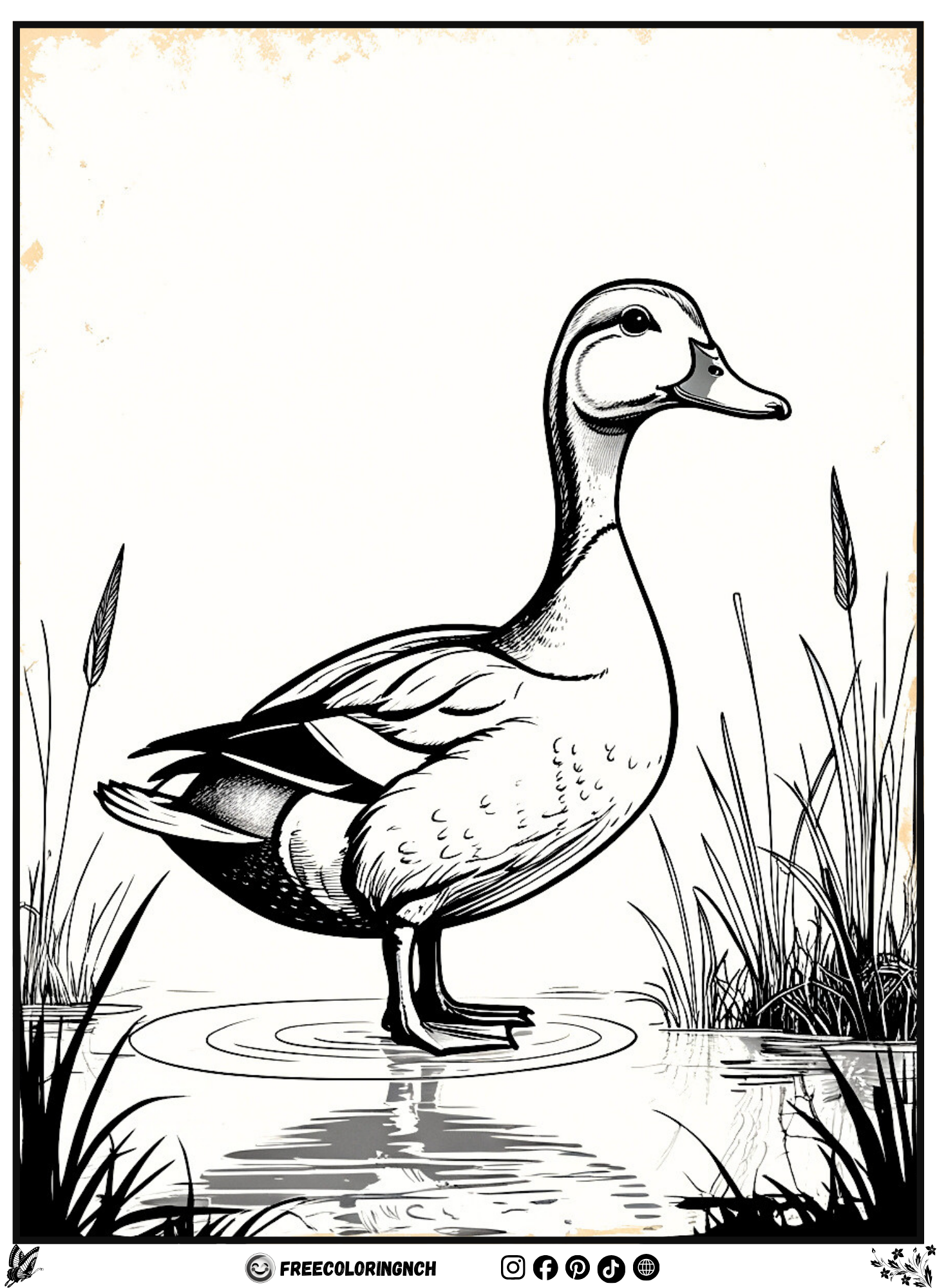 Minimalist Duck Coloring Page – Calm Farm Art